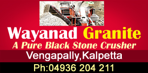 Testwayanad granite