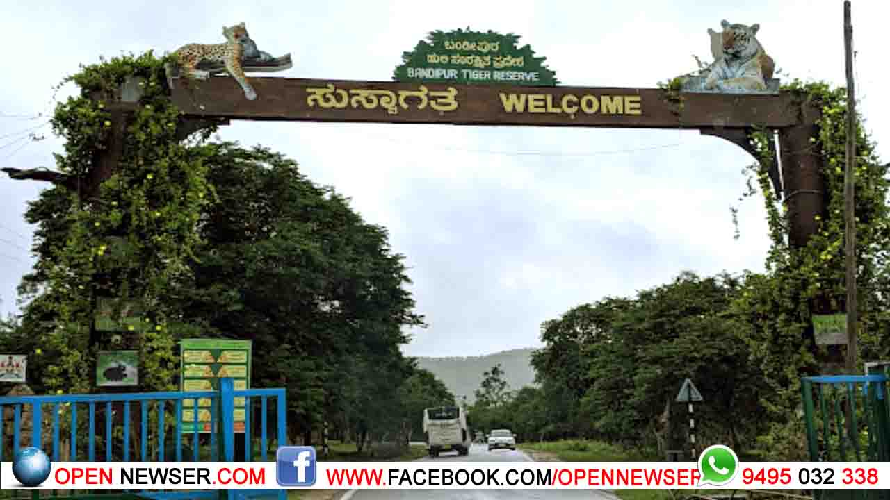 ബന്ദിപ്പൂരിലും നാഗര്‍ഹോളയിലും സഫാരി പുനരാരംഭിക്കുന്നു