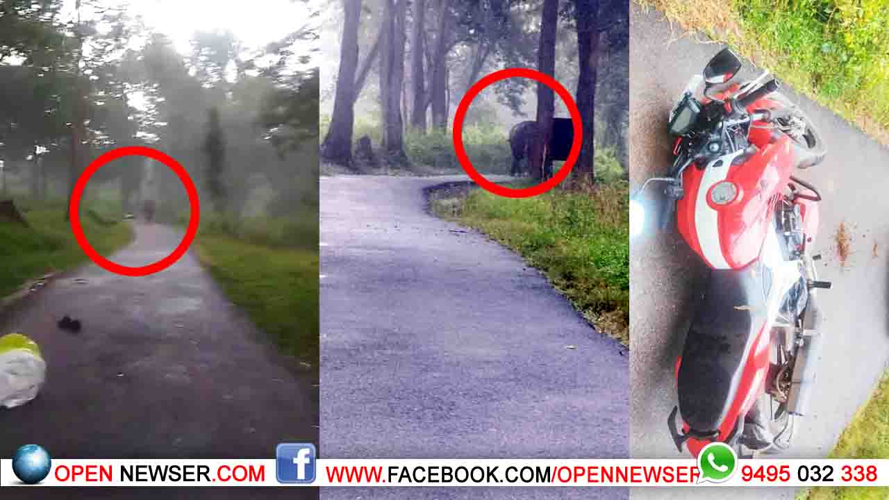 ബൈക്ക് യാത്രികനെ കാട്ടാനയോടിച്ചു;ബൈക്ക് ആക്രമിച്ചു; രക്ഷപ്പെടാനുള്ള ശ്രമത്തില് യാത്രികന് പരിക്ക്