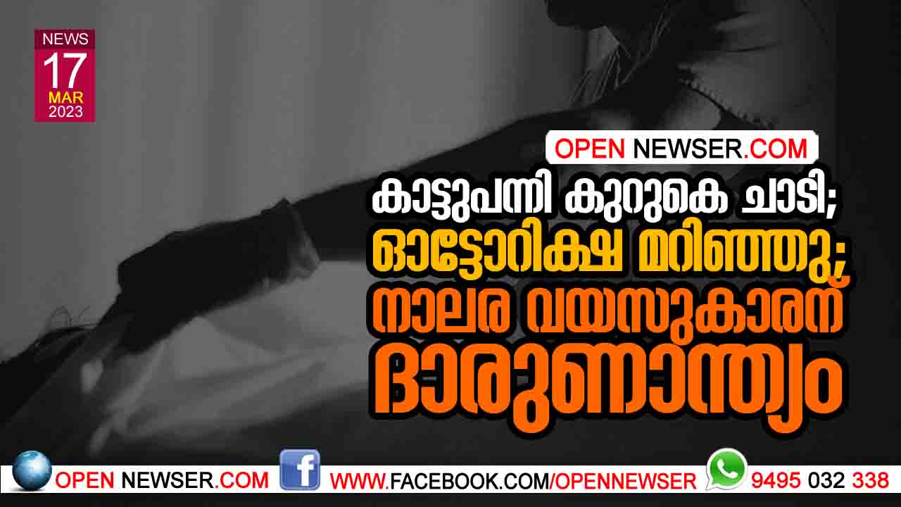കാട്ടുപന്നി കുറുകെ ചാടി: ഓട്ടോറിക്ഷ മറിഞ്ഞു; നാലര വയസുകാരന് ദാരുണാന്ത്യം