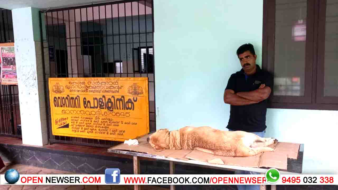 ചികിത്സ ലഭിക്കാതെ വളര്ത്തുനായ ചത്തതായി പരാതി