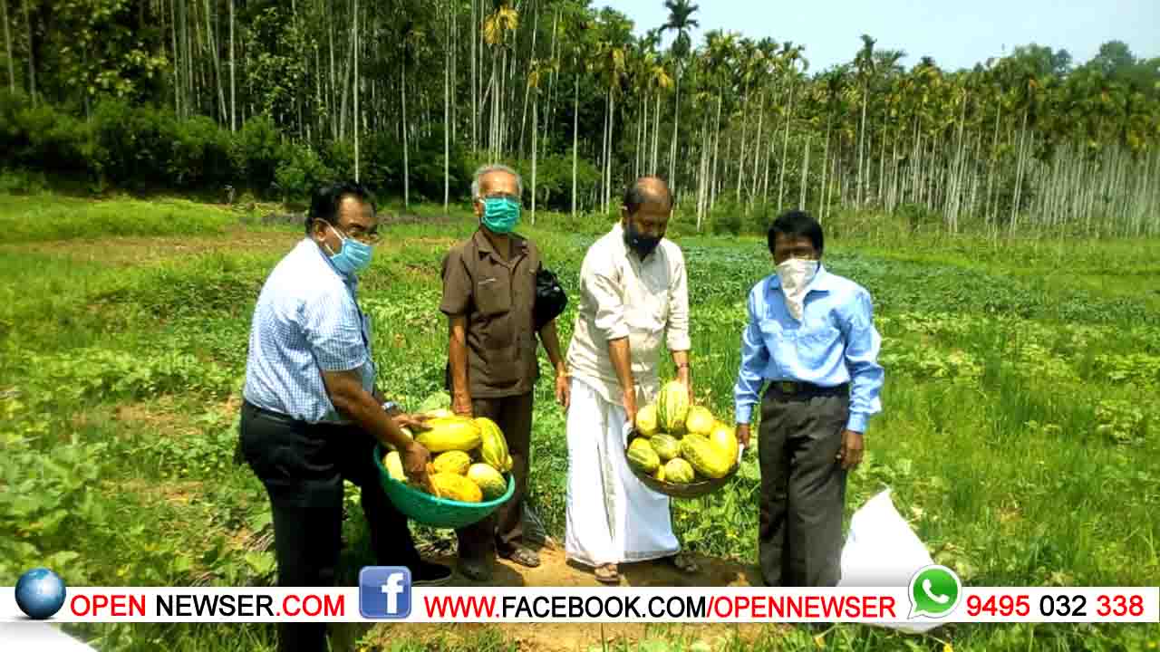 കാര്ഷിക പുരോഗമന സമിതി പച്ചക്കറി കൃഷി വിളവെടുപ്പ് തുടങ്ങി.