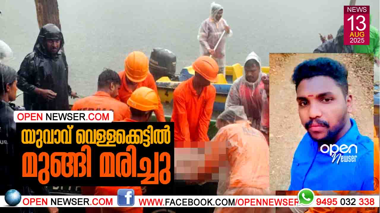 യുവാവ് വെള്ളക്കെട്ടില് മുങ്ങി മരിച്ചു
