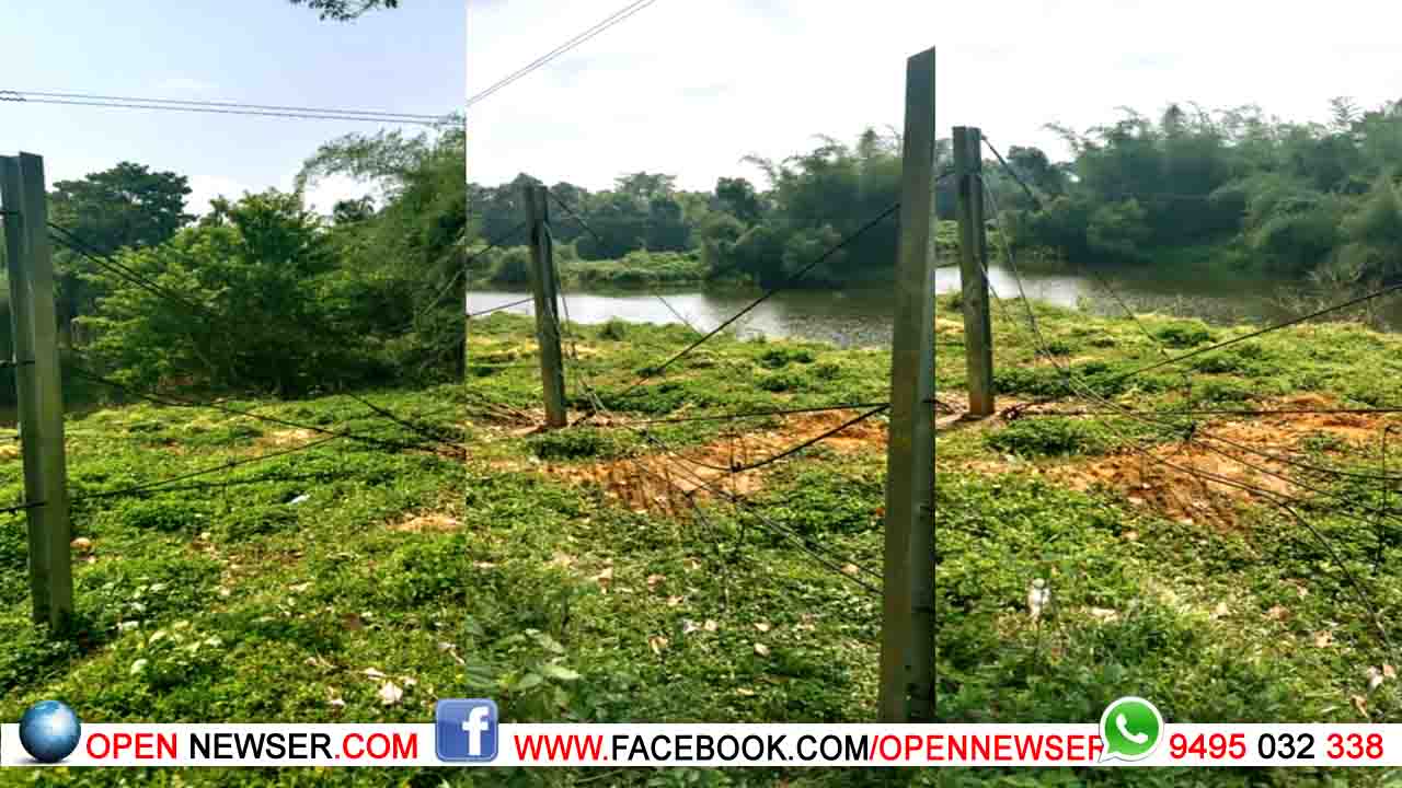 റോപ്പ് ഫെന്സിംഗിനും രക്ഷയില്ല ; കാട്ടാന ഫെന്സിംഗ് തകര്ത്തു