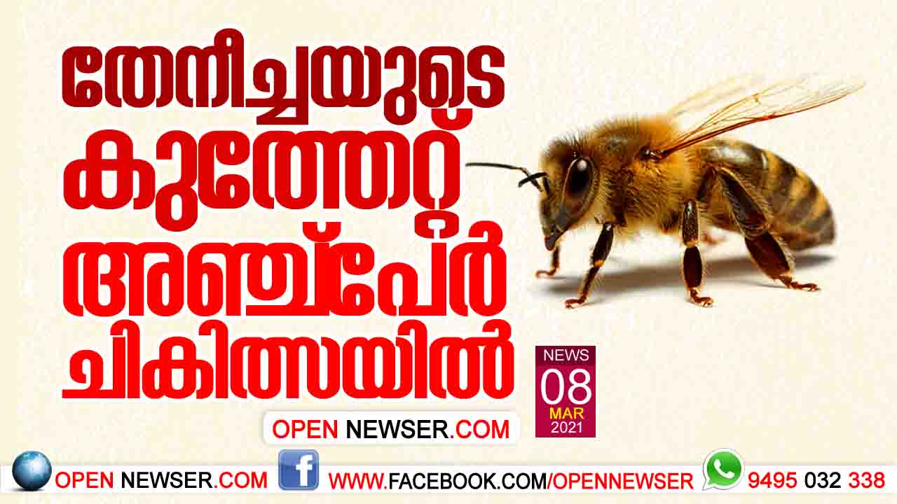 തേനീച്ചയുടെ കുത്തേറ്റ് അഞ്ച്പേര് ചികിത്സയില്