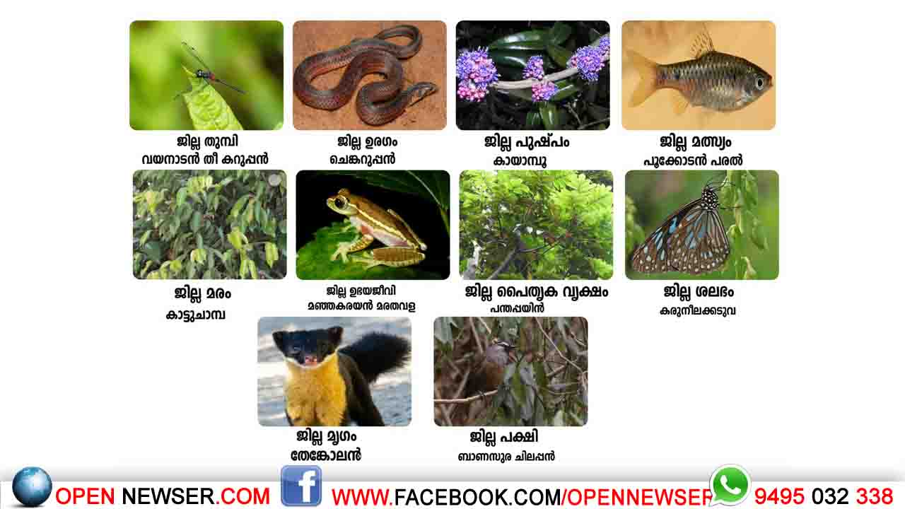 വയനാടിന് ഇനി തനത് സ്പീഷിസുകള്; വയനാട് ജില്ലയുടെ പക്ഷി, വൃക്ഷം, മൃഗം, മത്സ്യം, ചിത്ര ശലഭം, പുഷ്പം, തുമ്പി, പൈതൃക മരം, ഉരഗം,തവള എന്നിവ പ്രഖ്യാപിച്ചു