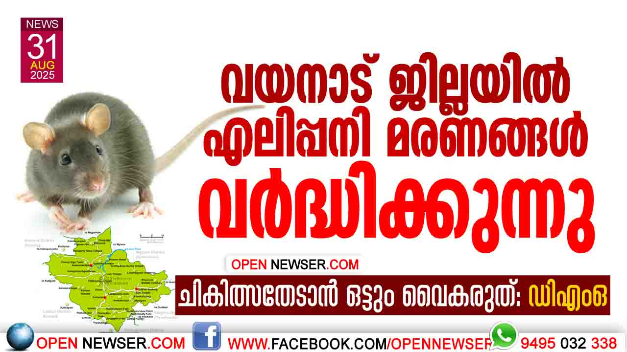 വയനാട് ജില്ലയില് എലിപ്പനി മരണങ്ങള് വര്ദ്ധിക്കുന്നു: ചികിത്സതേടാന് ഒട്ടും വൈകരുത്: ഡിഎംഒ; ജില്ലയിലെ ഏറ്റവും പ്രധാന പൊതുജനാരോഗ്യ പ്രശ്നം;2024 ല് 532 കേസുകള്, 25 മരണങ്ങള്; 2025 ജൂലൈ വരെ 147 കേസുക