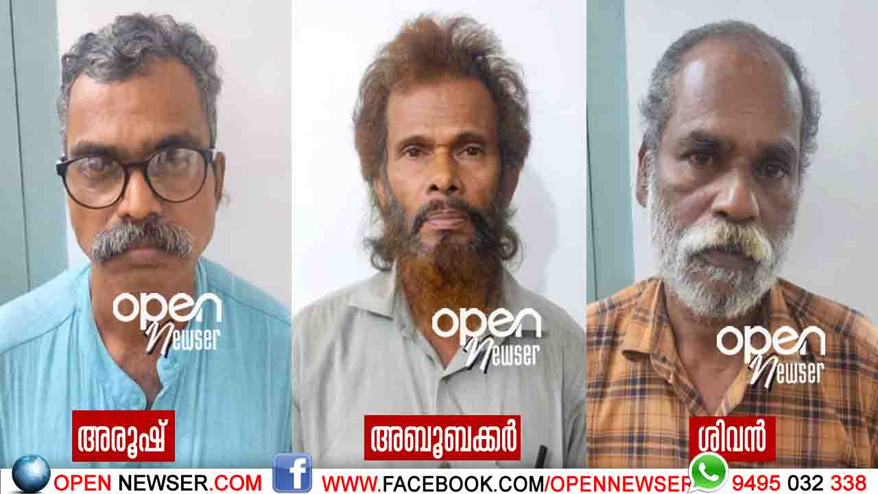വയോധികയുടെ വീട്ടില് അതിക്രമിച്ചു കയറി നാശനഷ്ടം വരുത്തിയ സംഭവം: മൂന്ന് പേര് അറസ്റ്റില്