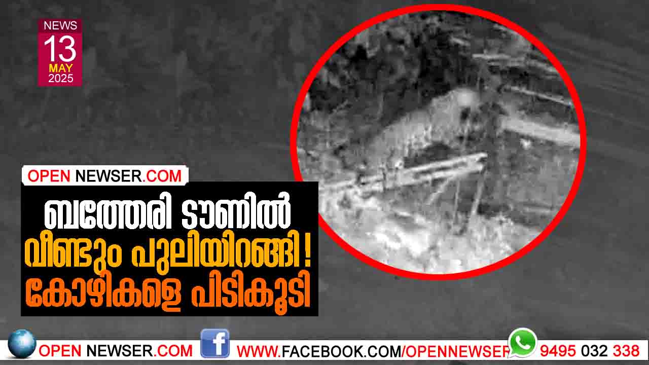 ബത്തേരി ടൗണില് വീണ്ടും പുലിയിറങ്ങി! കോഴികളെ പിടികൂടി