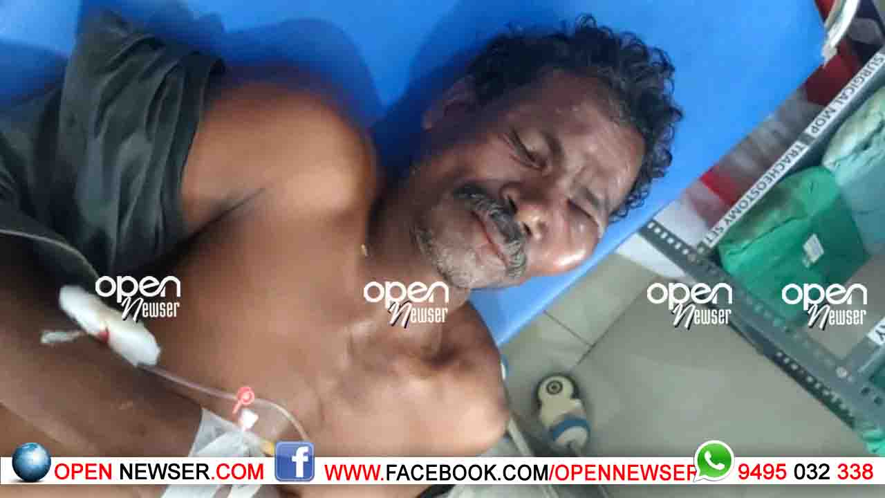 ജോലിക്കിടെ കാട്ടുപോത്തിന്റെ മുന്നില്പ്പെട്ടു; രക്ഷപ്പെടുന്നതിനിടെ തൊഴിലാളിക്ക് പരിക്കേറ്റു