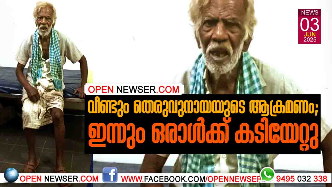വീണ്ടും തെരുവുനായയുടെആക്രമണം; ഇന്നും ഒരാള്ക്ക് കടിയേറ്റു