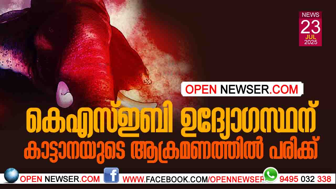 കെഎസ്ഇബി ഉദ്യോഗസ്ഥന് കാട്ടാനയുടെ ആക്രമണത്തില് പരിക്ക്