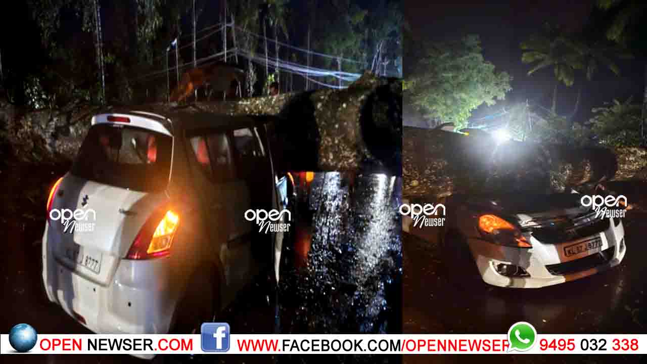കൃഷ്ണഗിരിയില് കൂറ്റന് മരം കാറിന് മുകളില് വീണ്; യാത്രക്കാരന് പരിക്ക്