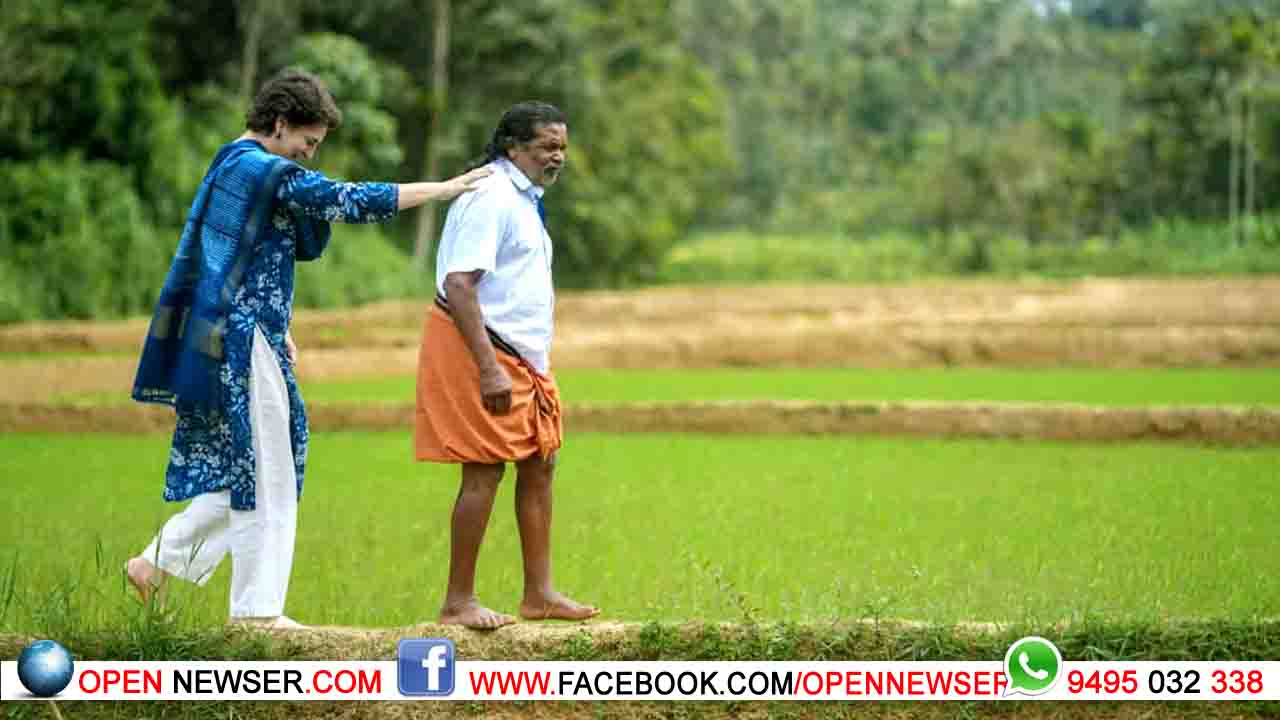 വയലില് നടന്നും പാട്ട് കേട്ടും പത്മശ്രീ ചെറുവയല് രാമനൊപ്പം പ്രിയങ്ക ഗാന്ധി എം.പി!