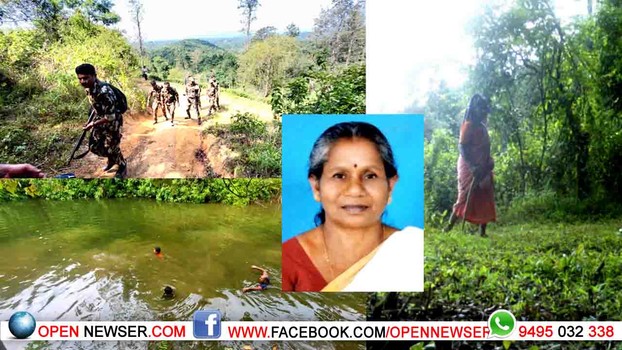 വനത്തിനുള്ളില് കാണാതായ വയോധികയെ കണ്ടെത്താനായില്ല: ഇന്നത്തെ തിരച്ചിലും വിഫലം