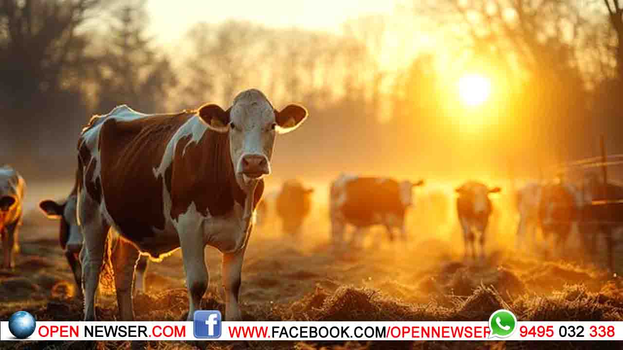 വളര്ത്തു മൃഗങ്ങളുടെ വേനല്ക്കാല പരിചരണം; മൃഗസംരക്ഷണ വകുപ്പിന്റെ മാര്ഗനിര്ദ്ദേശങ്ങള്