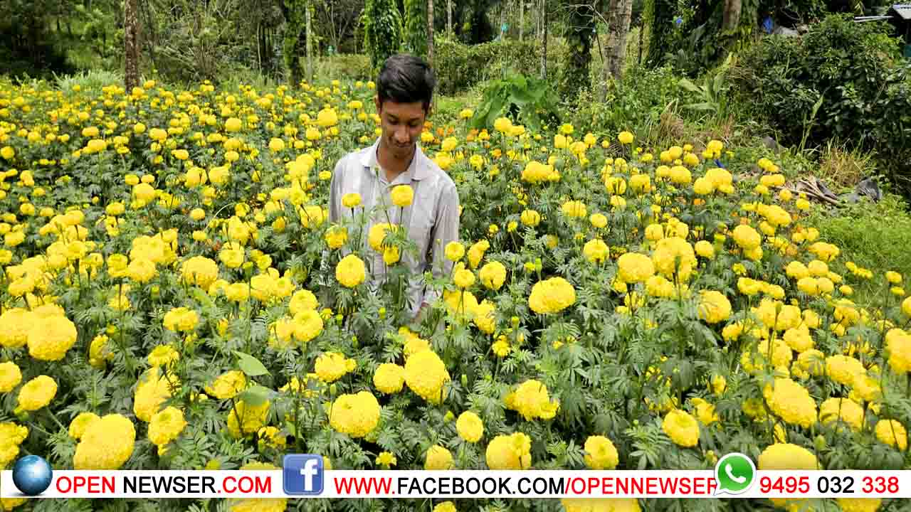 ചെണ്ടുമല്ലി പൂപാടമൊരുക്കി സ്കൂള് വിദ്യാര്ത്ഥി