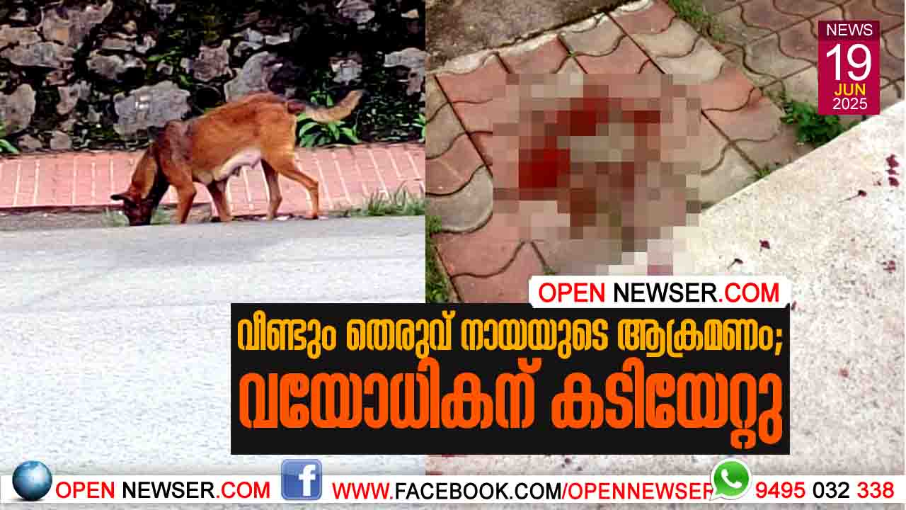 വീണ്ടും തെരുവ് നായയുടെ ആക്രമണം വയോധികന് കടിയേറ്റു